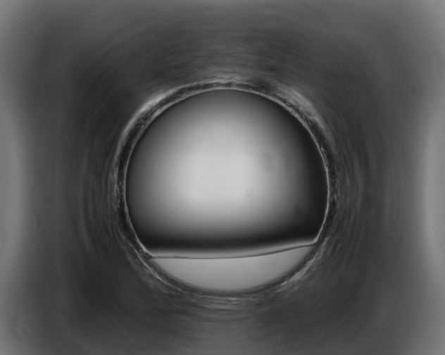 X0000086771172200704130830