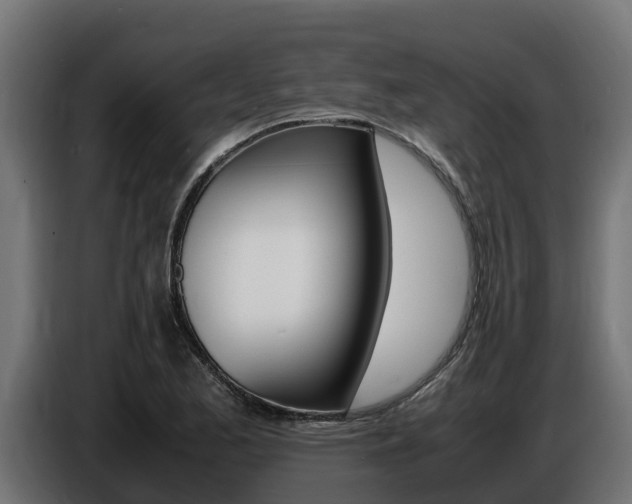 X0000086771173200704130830