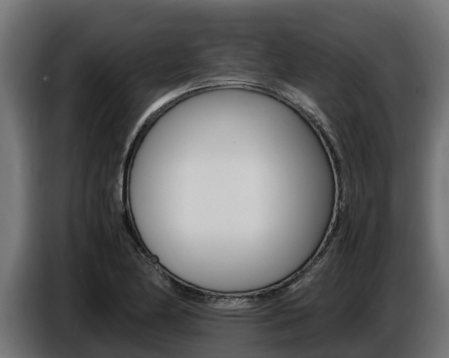 X0000086771174200704130830