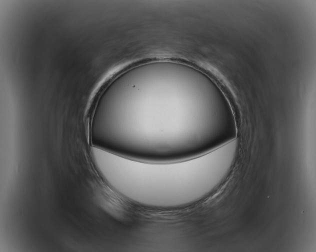 X0000086771175200704130830