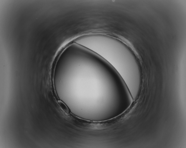 X0000086771176200704130830