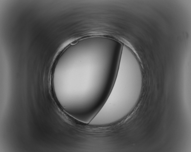 X0000086771179200704130830