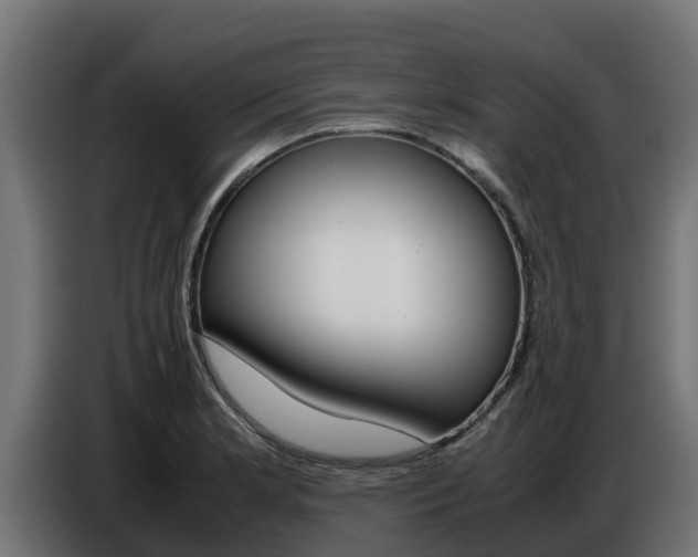 X0000086771181200704130830