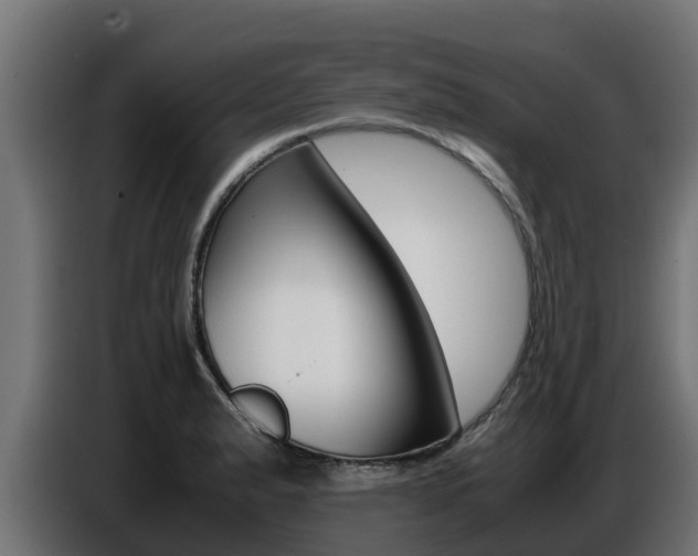 X0000086771183200704130830