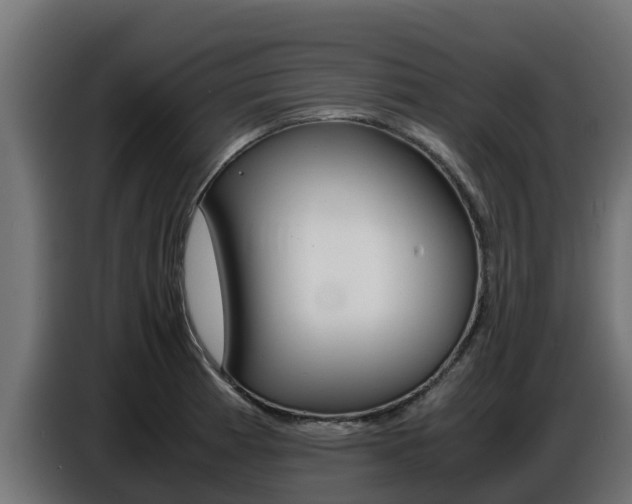 X0000086771185200704130830