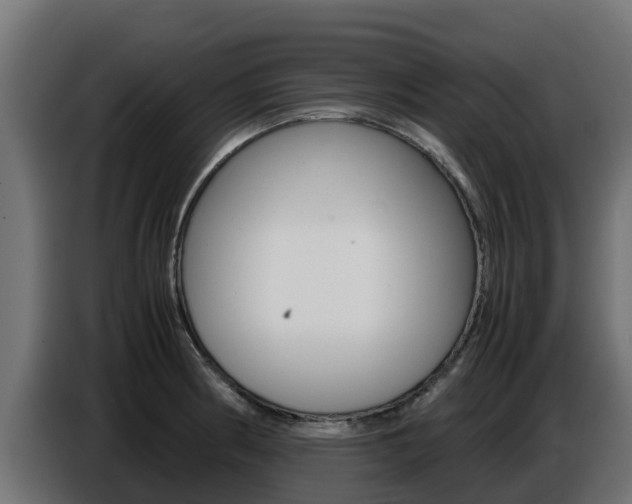 X0000086771186200704130830