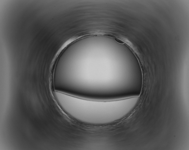 X0000086771187200704130830