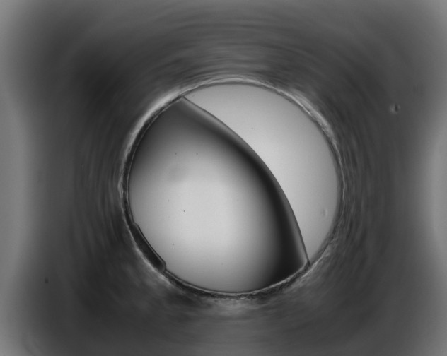 X0000086771189200704130829