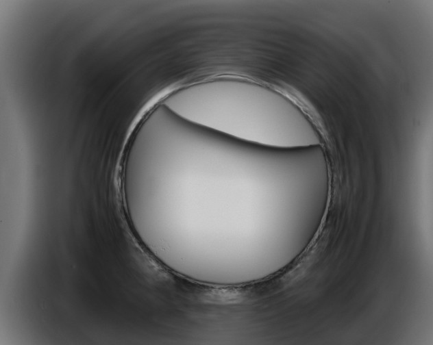 X0000086771190200704130829