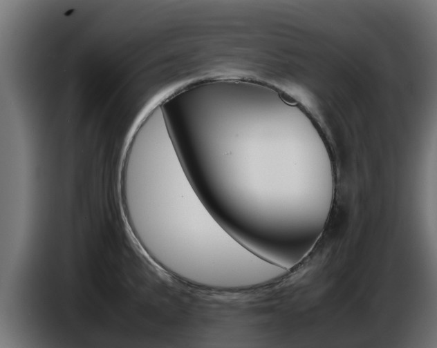 X0000086771191200704130829