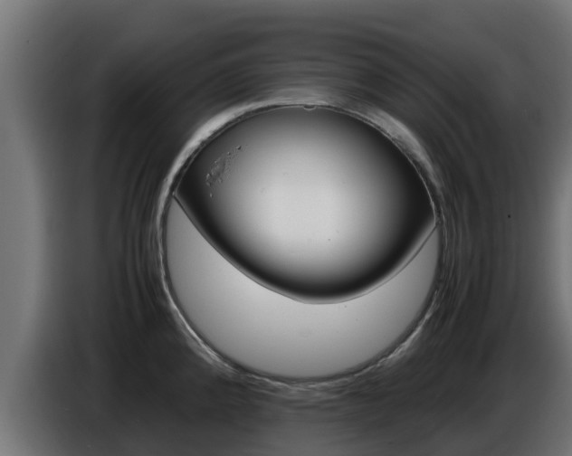 X0000086771192200704130829