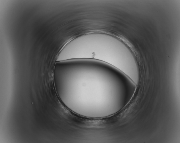X0000086771193200704130829