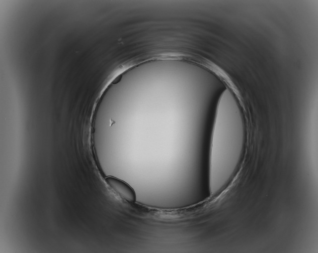 X0000086771194200704130829