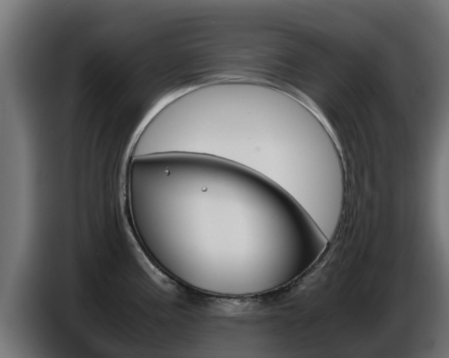 X0000086771195200704130829