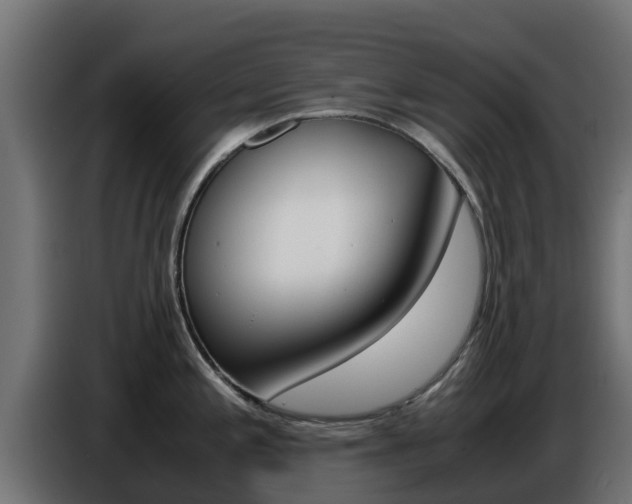 X0000086771197200704130829