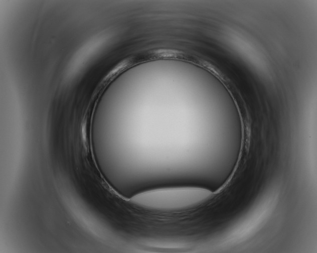 X0000086771198200704130829