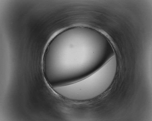 X0000086771199200704130829