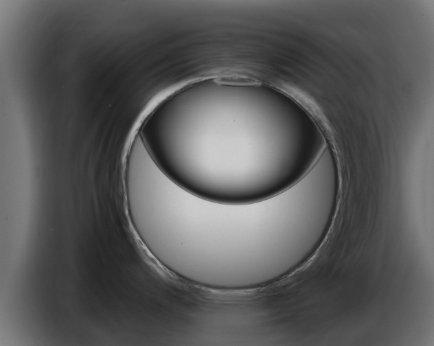 X0000086771200200704130829
