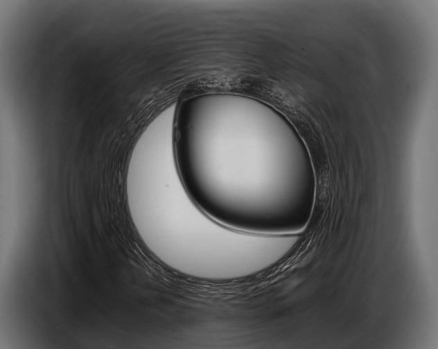 X0000086771202200704130829