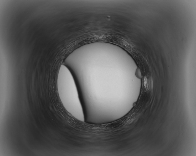 X0000086771203200704130829