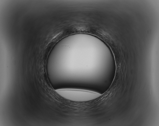 X0000086771205200704130829