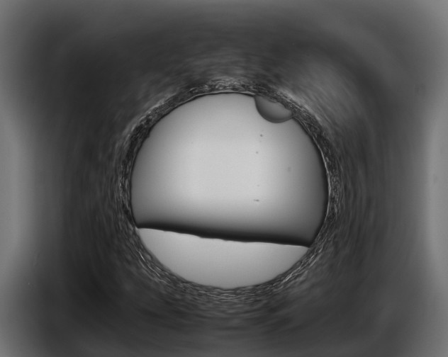 X0000086771207200704130829
