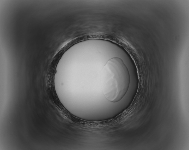 X0000086771208200704130829
