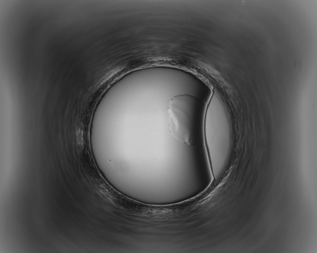 X0000086771209200704130829
