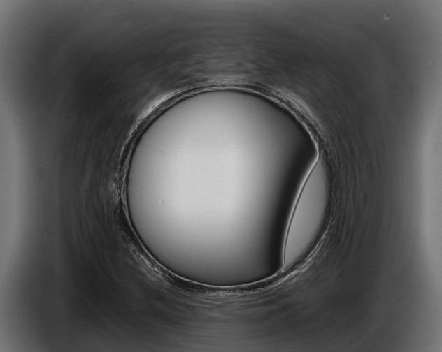 X0000086771212200704130829