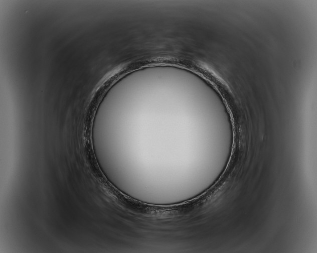 X0000086771213200704130829