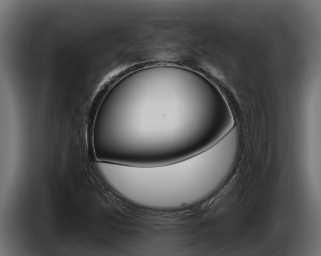 X0000086771214200704130829