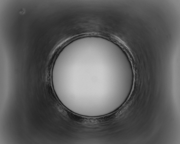 X0000086771215200704130829