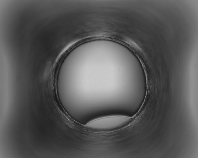 X0000086771216200704130829