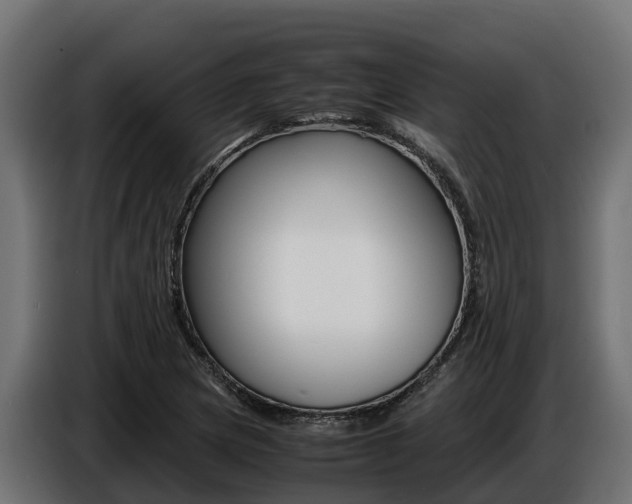 X0000086771217200704130829