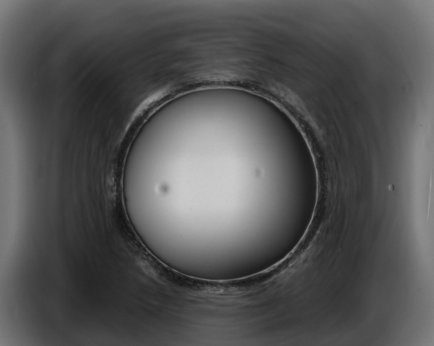 X0000086771218200704130829