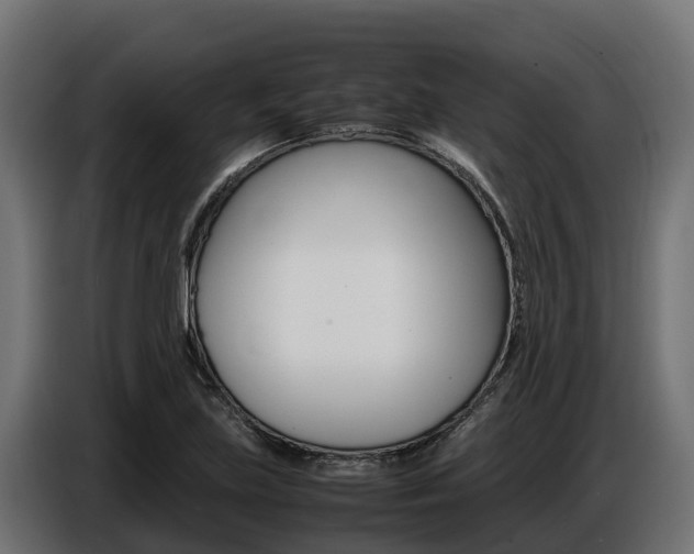 X0000086771219200704130829