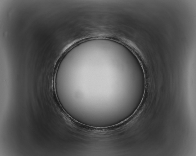 X0000086771220200704130829