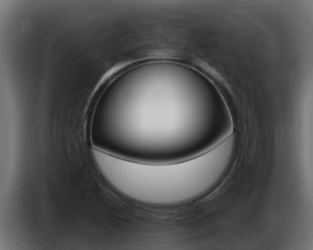 X0000086771222200704130829