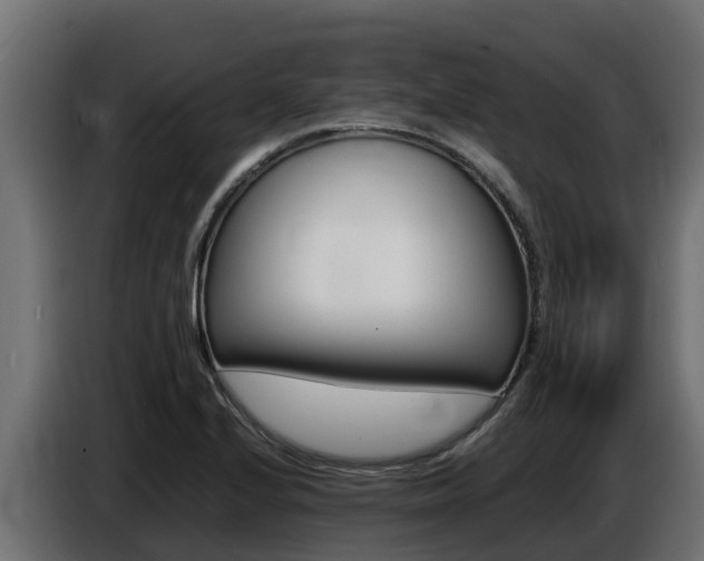 X0000086771224200704130829