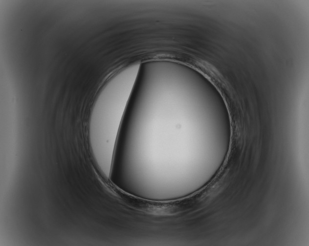 X0000086771225200704130829
