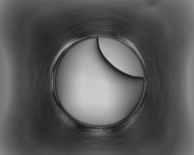 X0000086771227200704130829