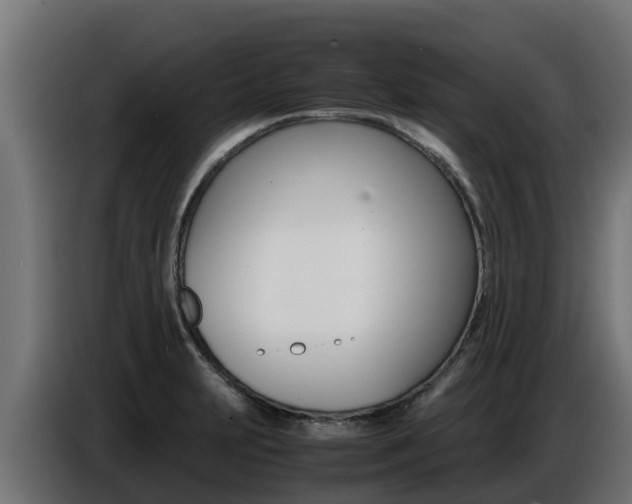 X0000086771231200704130829