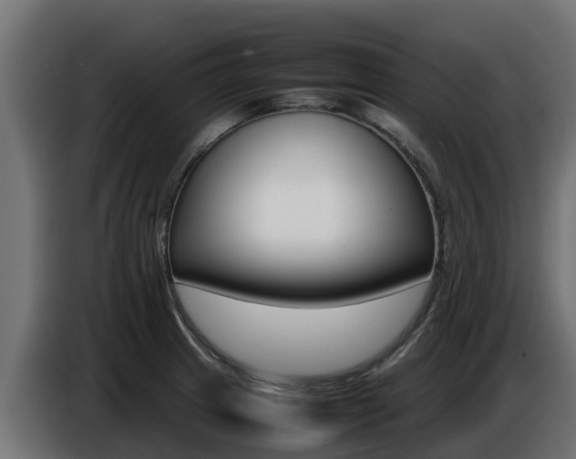 X0000086771233200704130829