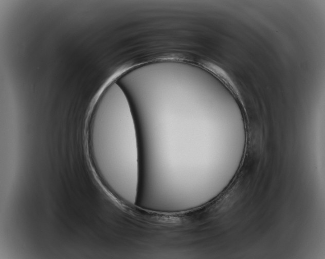 X0000086771235200704130829