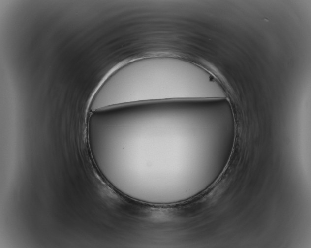 X0000086771236200704130829