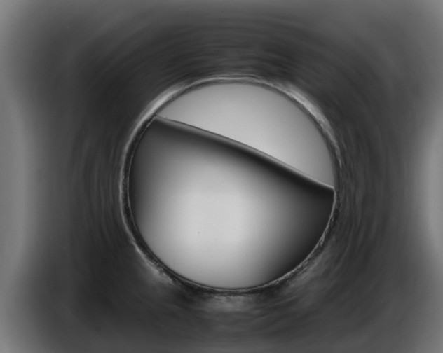 X0000086771237200704130829