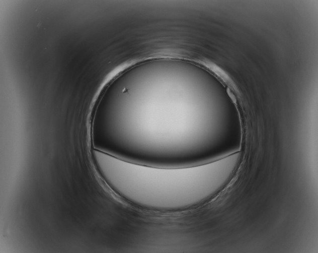 X0000086771238200704130829