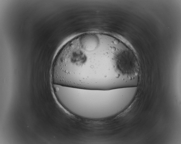 X0000086771239200704130829