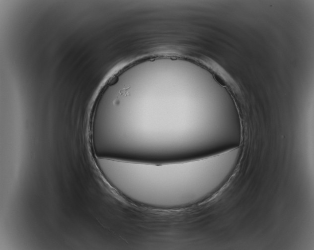 X0000086771240200704130829