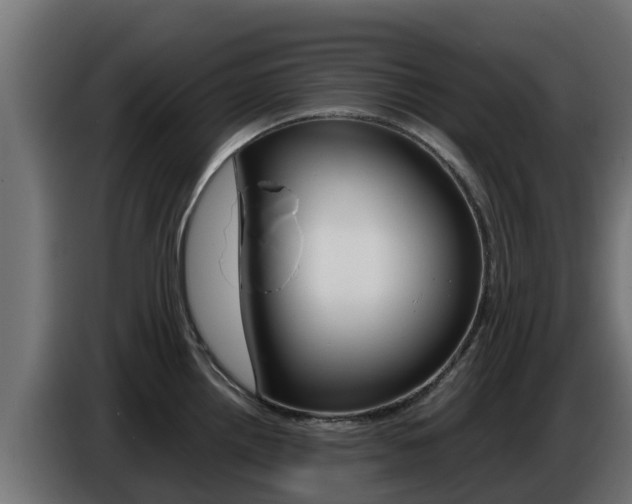 X0000086771242200704130829